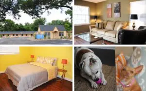 Taylor Recovery Pet Friendly Rehab